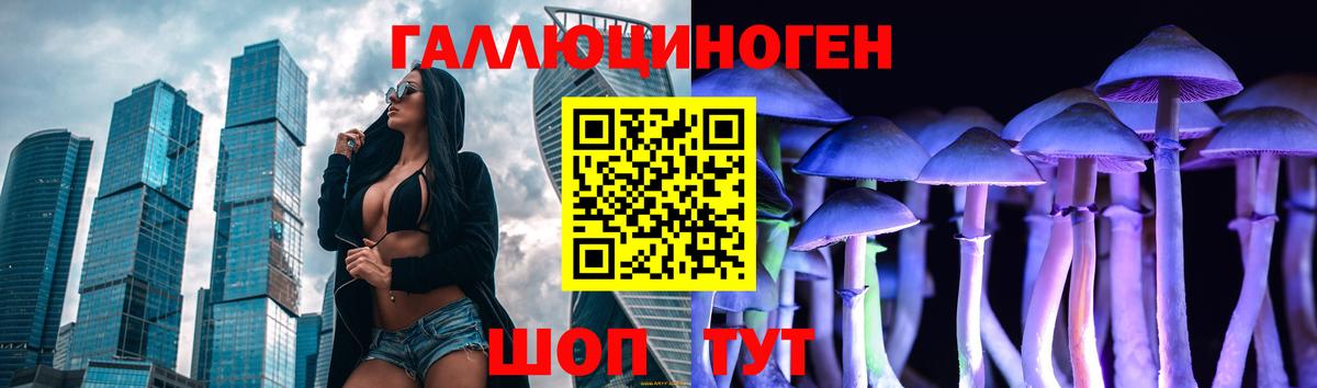 Псилоцибиновые грибы MAGIC MUSHROOMS  Вход с VPN  Мурино  Псилоцибиновые грибы ЛСД 